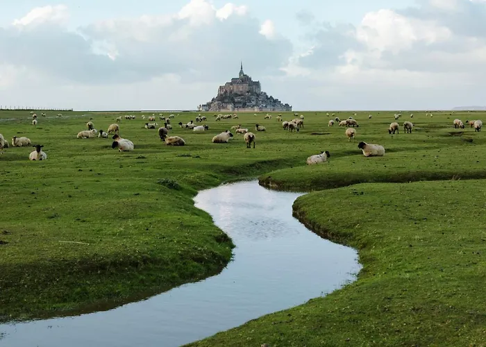 Casa vacanze Les Antilles, Maison De Bord De